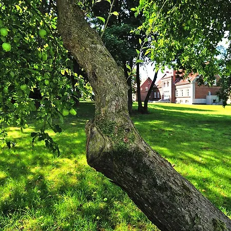 Gutshaus In Garz * Zicker
