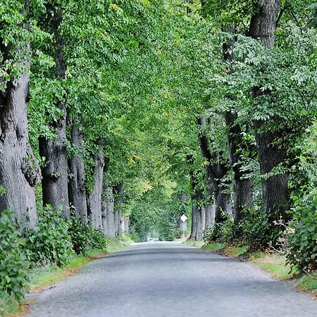 Feriehus Gutshaus In Garz