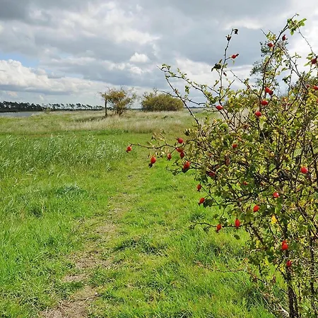 Gutshaus In Garz Feriehus