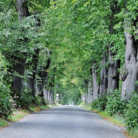 Gutshaus In Garz Prázdninový dům Zicker
