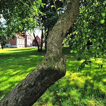 Gutshaus In Garz Prázdninový dům