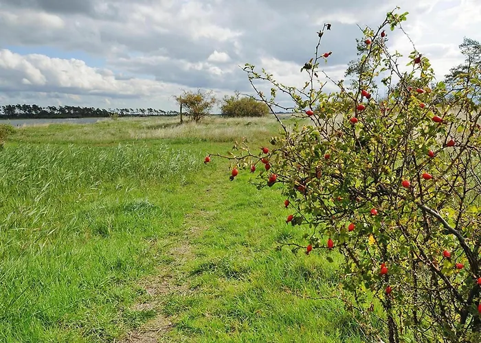 Gutshaus In Garz Semesterbostad